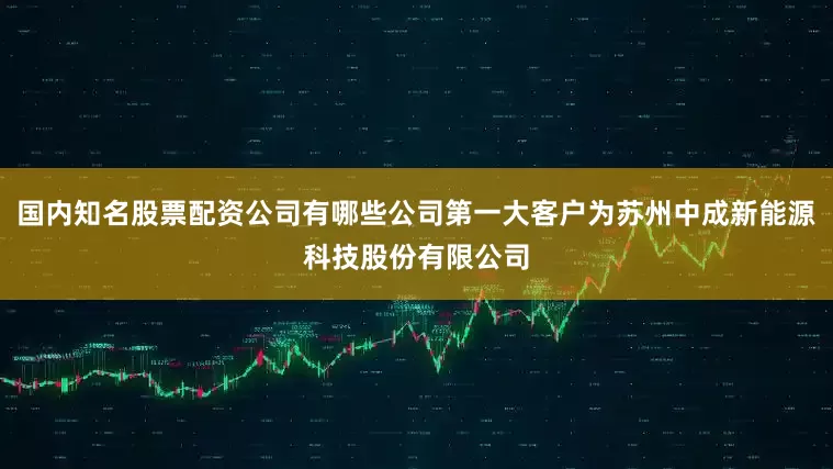 国内知名股票配资公司有哪些公司第一大客户为苏州中成新能源科技股份有限公司
